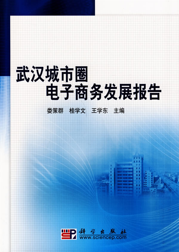 武汉城市圈电子商务发展报告【正版书籍】