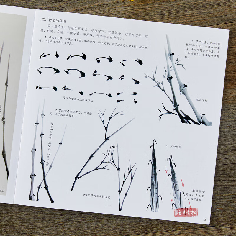 学画宝典墨竹 中国画技法写意国画水墨画竹子花卉花鸟画法书籍 鸟画法