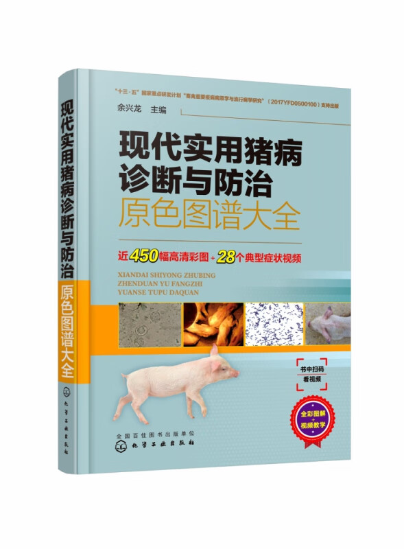 现代实用猪病诊断与防治原色图谱大全