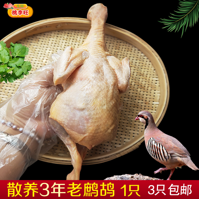 桃李旺（taoliwang） 鹧鸪鸟肉 新鲜飞龙肉 现杀品质 农家散养老鹧鸪肉 特种养殖肉类 【1只】大鹧鸪