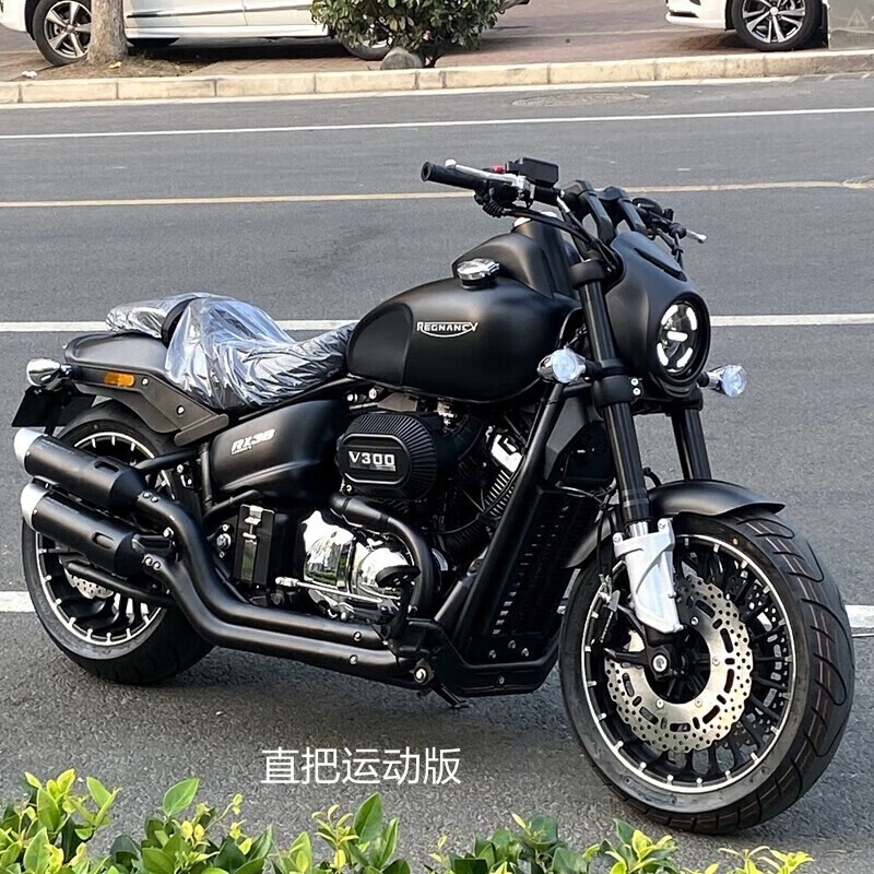 悦物耐典定制雷克rx3摩托车雷克rx7雷卡迪250 双杠v型双缸哈雷风太子