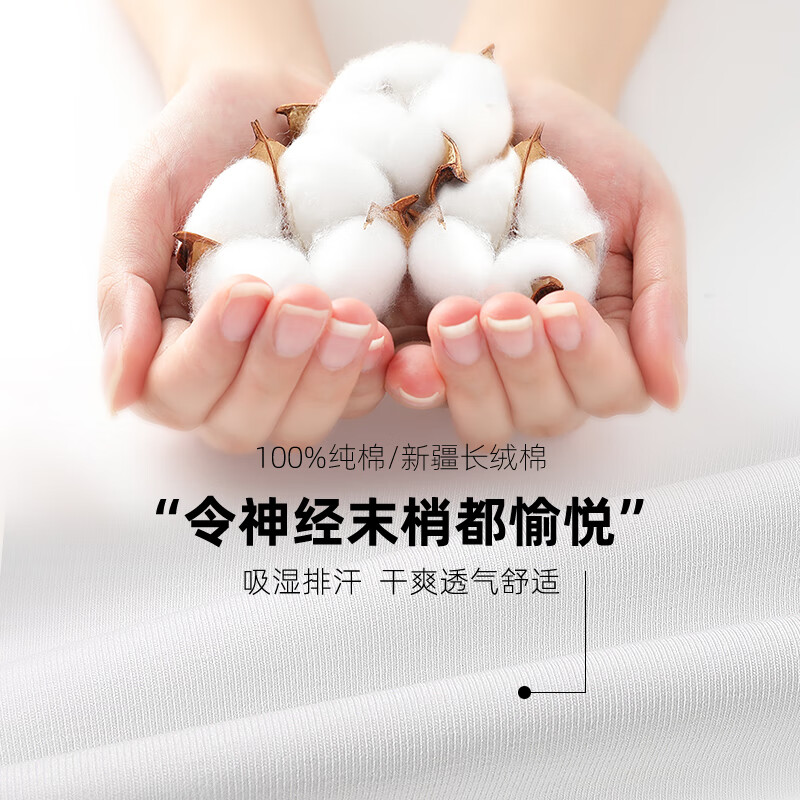 七匹狼3件纯棉短袖男白t恤打底衫夏季薄款运动吸汗衫全棉透气半袖老头衫 V.领3件袋装(白+白+白)纯棉透气 M (160-170/85-110斤)
