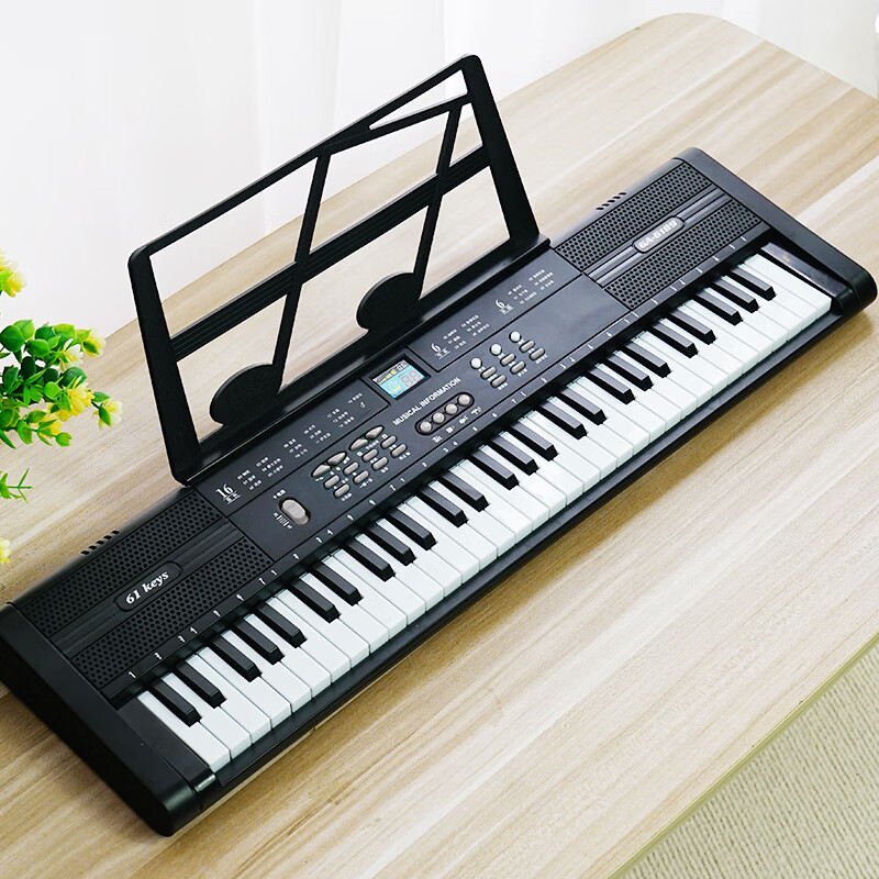 俏娃宝贝（QIAO WA BAO BEI）电子琴儿童钢琴玩具