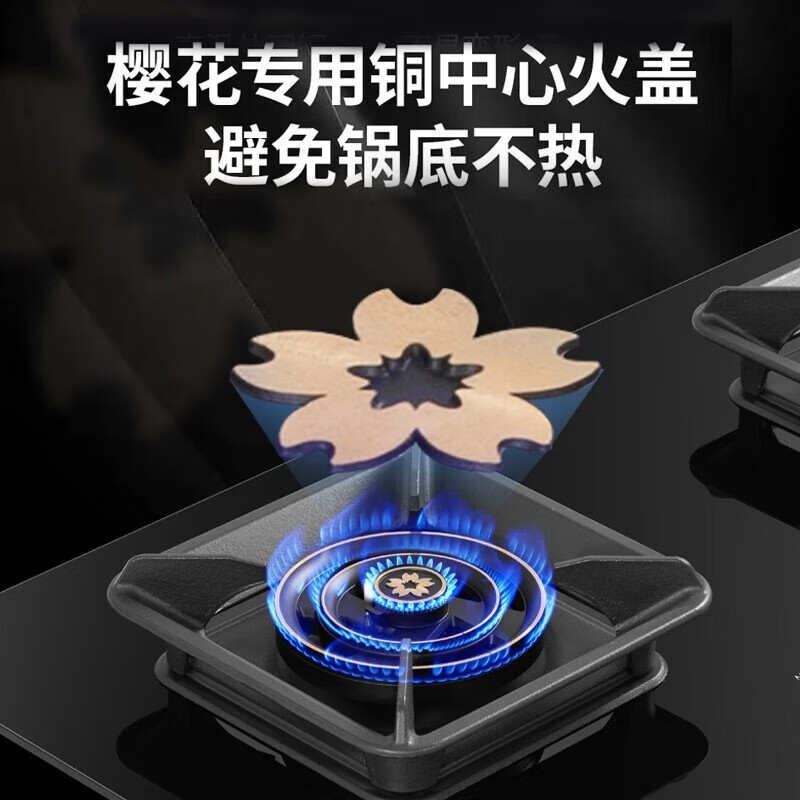 樱花(SAKURA)燃气灶天然气家用双灶具三环火聚能零秒瞬时点火180min双边独立定时嵌入式液化气灶 JZT-JGC06【天然气5.2KW】
