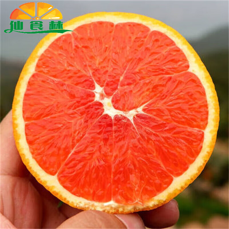 仙食林四川血橙 新鲜当季水果红心肉橙子孕妇水果 5斤【精选优果】