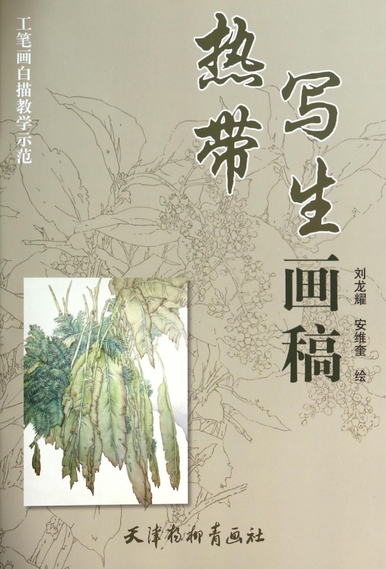 热带写生画稿(工笔画白描教学示范)