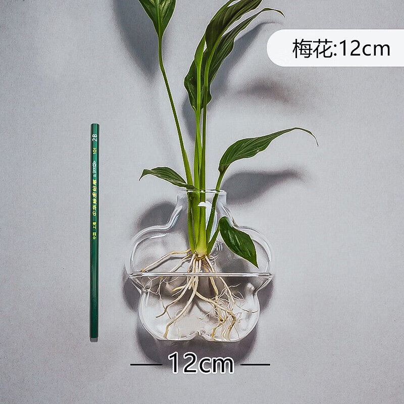 柏木格貼墻水培花盆壁掛花瓶墻壁創(chuàng)意綠蘿玻璃瓶器皿墻上掛式墻掛瓶植物 梅花瓶+無痕釘