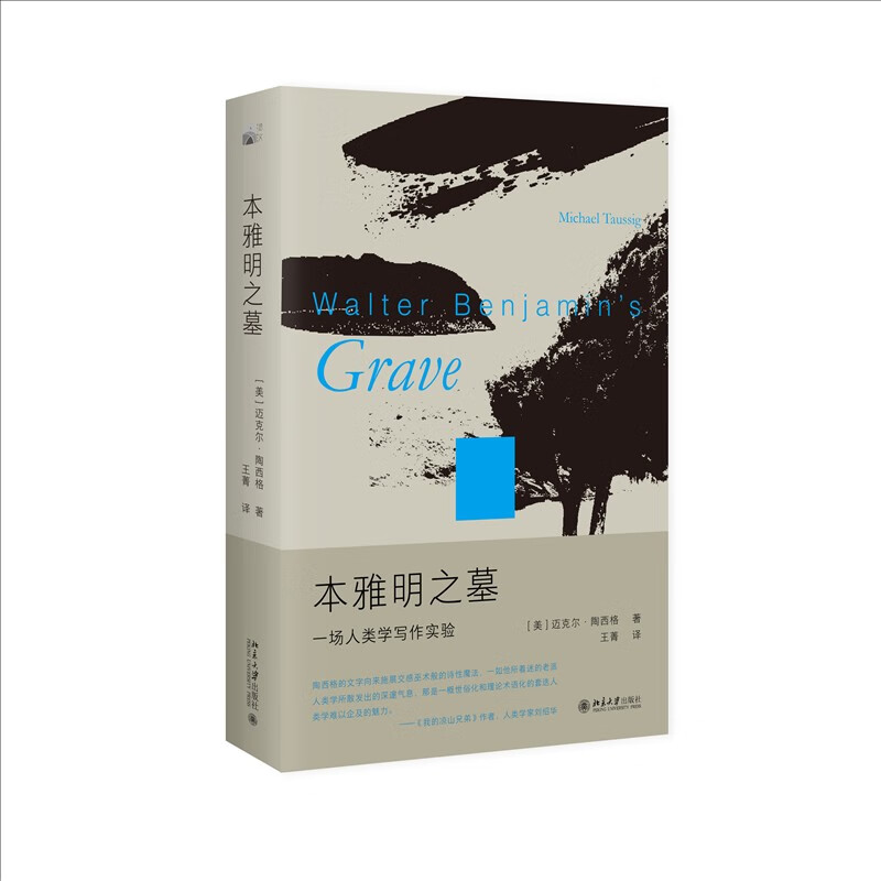 本雅明之墓：一场人类学写作实验 迈克尔·陶西格带您聆听微妙之处，奇事不再遥远