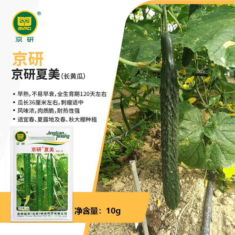 гƹӴļƹ̨̰Լͥ԰߲ 2 10