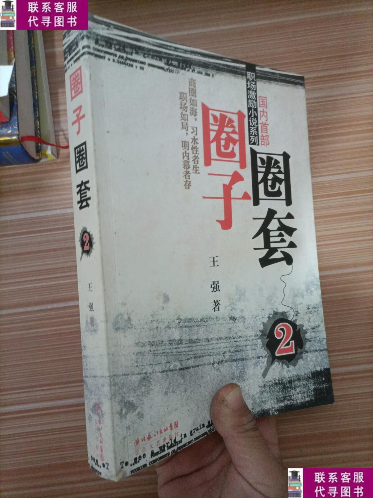 【二手9成新】圈子圈套2:迷局篇 /王强 长江文艺出版社