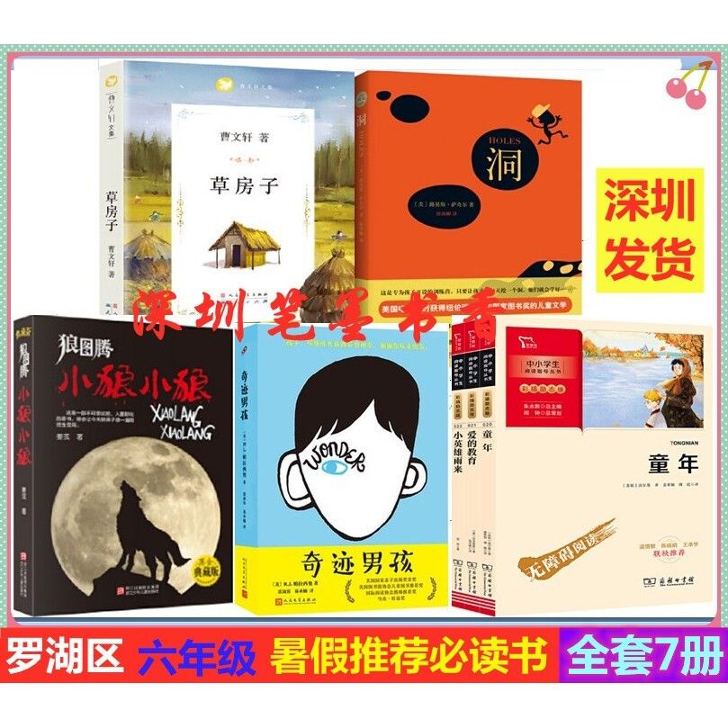 深圳罗湖六年级童年爱的小狼小狼奇迹男孩草