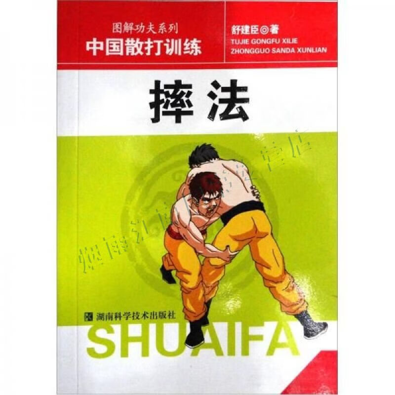 中国散打训练:摔法【上新】