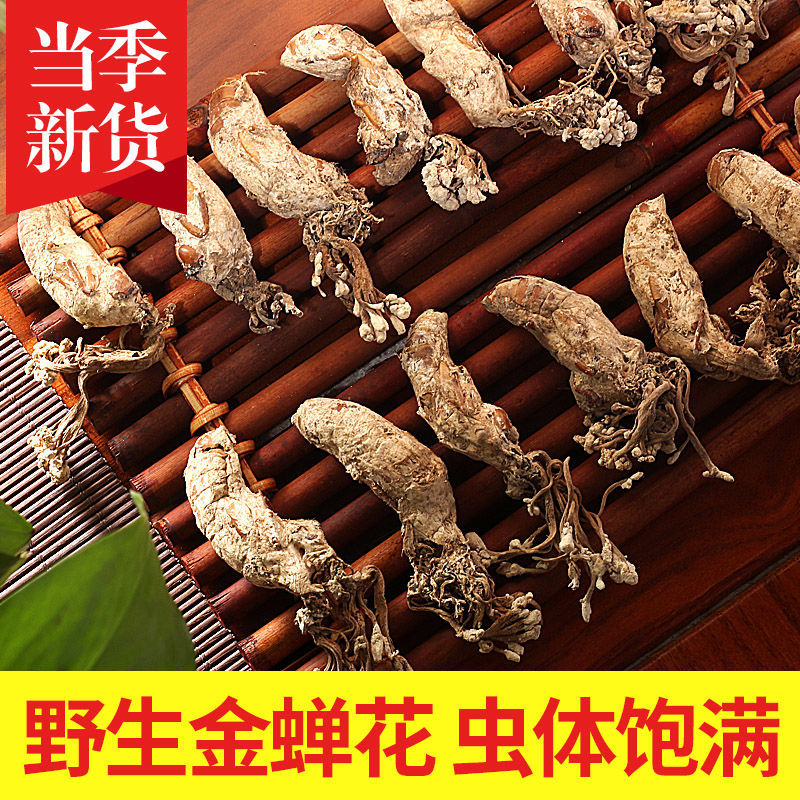 金蝉花2024中药材婵花蝉花虫草孢子粉知了花金蚕花禅花 10只装【试用