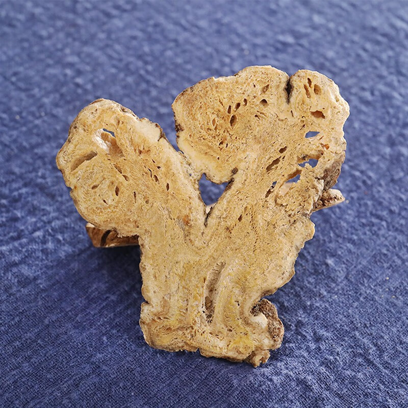 党参 白术 茯苓 中药材 组合装 泡茶泡水 当季新货 黄芪党参白术茯苓