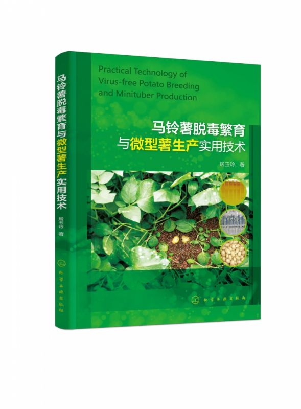 马铃薯脱毒繁育与微型薯生产实用技术