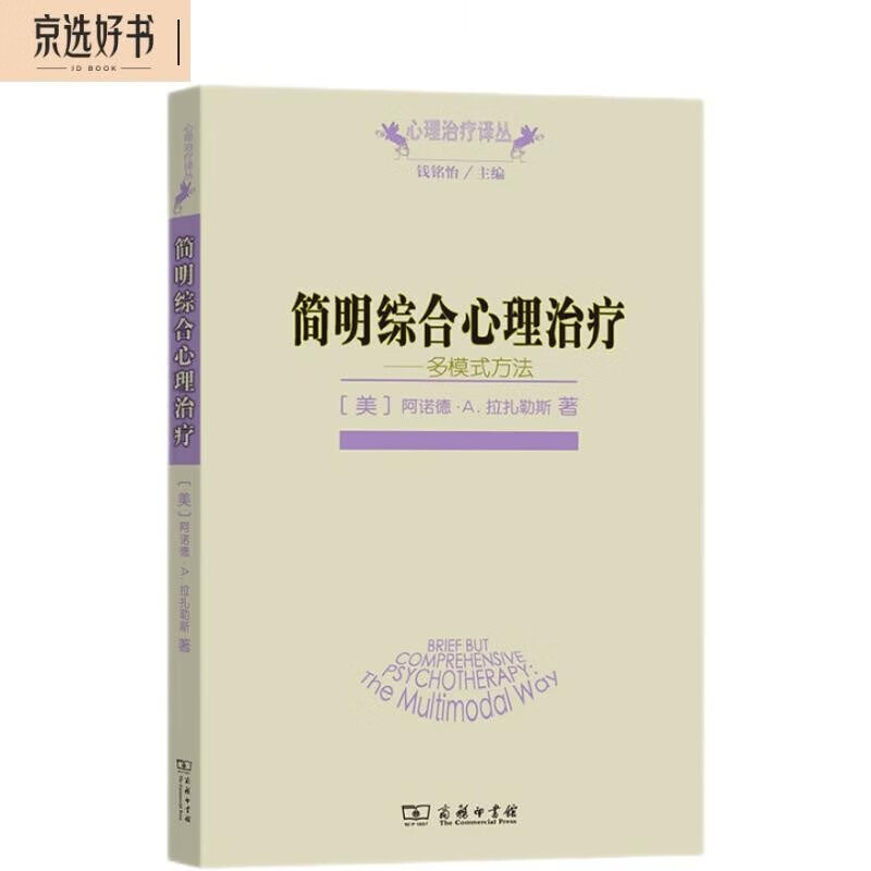 简明综合心理治疗——多模式方法（心理治疗译丛）