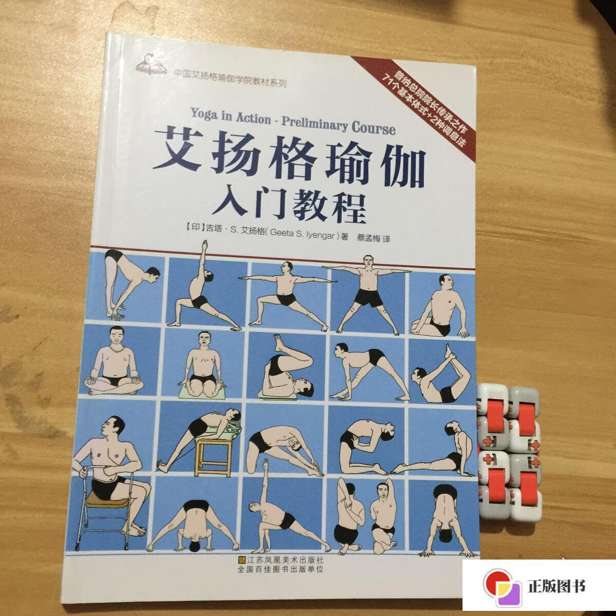 【二手9成新】艾扬格瑜伽入门教程 /吉塔.s.