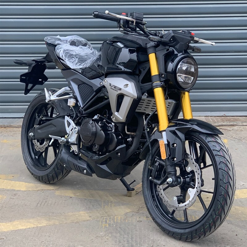 迅龙摩托车200cc,迅龙摩托车250 豪剑机车国四新款迅龙东方v8复古街车摩托车200排量机车公路赛趴赛可