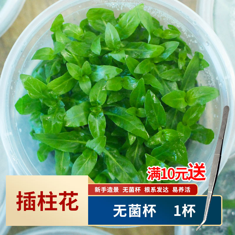 如何知道京东水草用品历史价格|水草用品价格比较