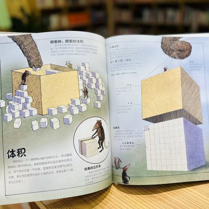 DK数学运转的秘密详情图