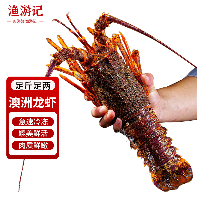 漁游記 澳洲大龍蝦特大海鮮大澳龍  生凍年貨節(jié)海鮮禮盒 1.3斤/只