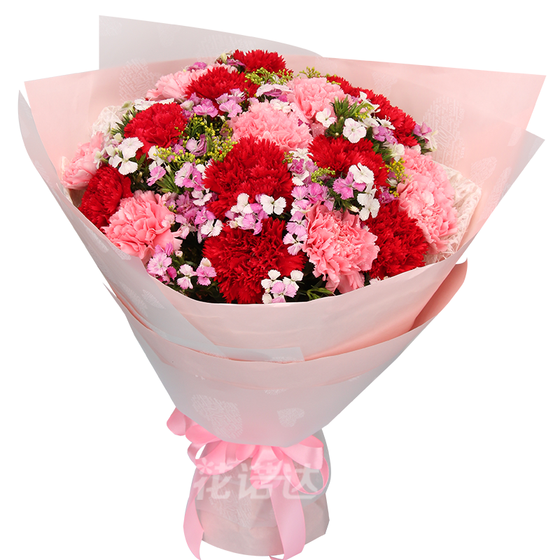 花语心愿康乃馨百合花束鲜花速递同城配送妈妈生日礼物北京上海武汉
