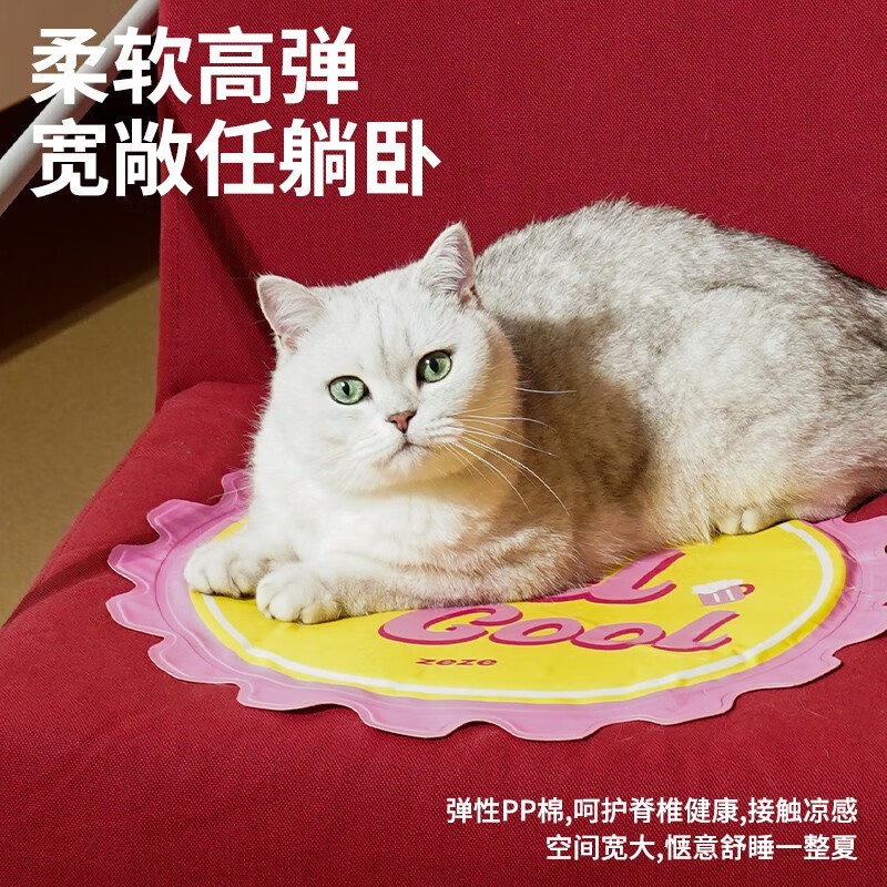 京东新品首发 2023-05-31 - 第26张  | 最新购物优惠券