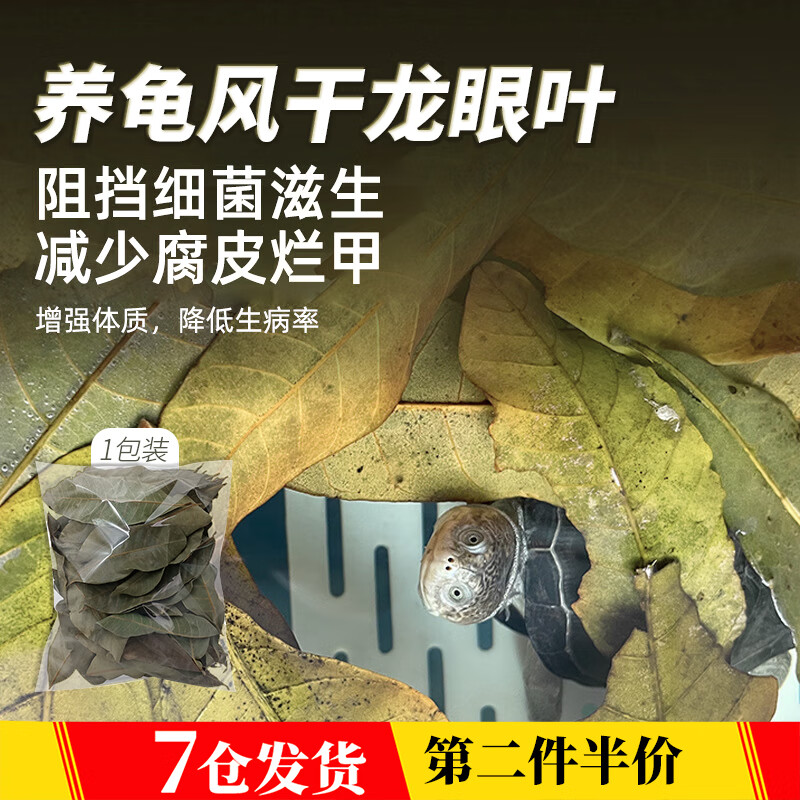 ®�� �ڹ�����Ҷ��Ƥ�ü׶�ܹ�������Ҷ�ӹ����ת�����ˮ���쾰 ��ɫ�������Ҷ��1����