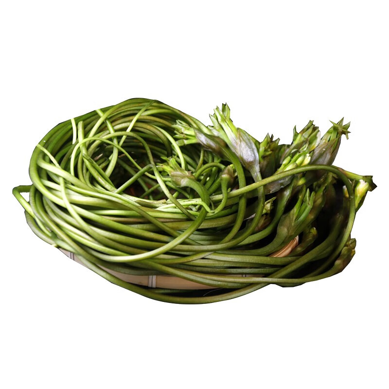 zxc云南水性杨花菜 新鲜海菜花 现摘蔬菜 1斤