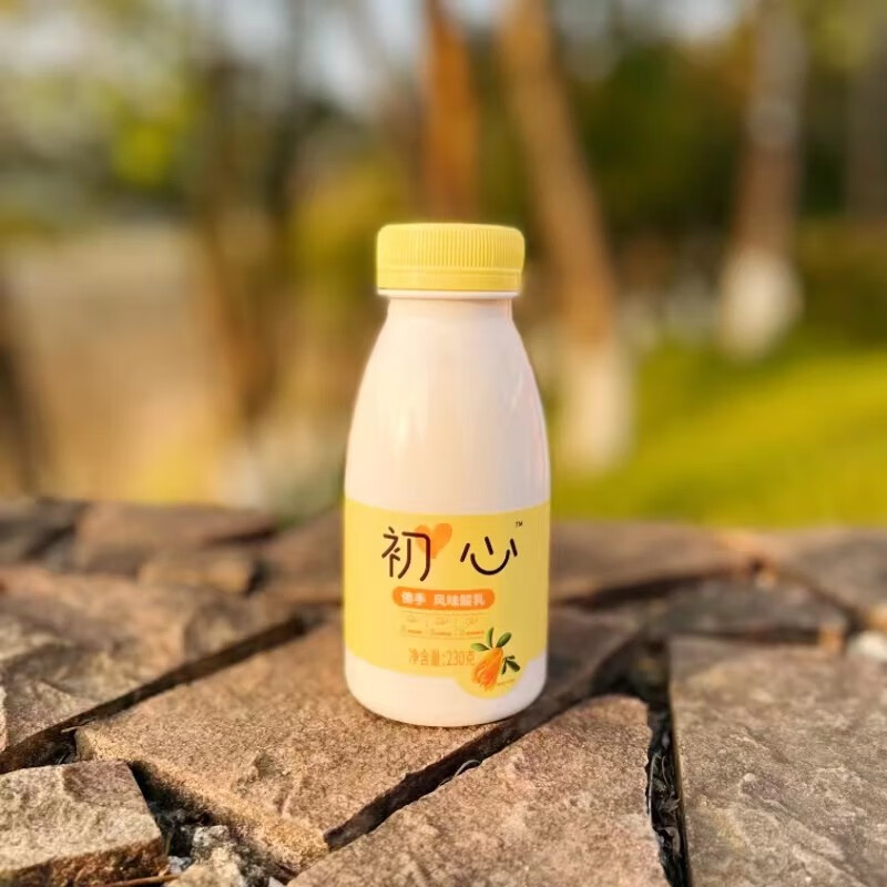 新希望初心酸奶佛手风味酸乳新口味酸奶230克 初心佛手8瓶