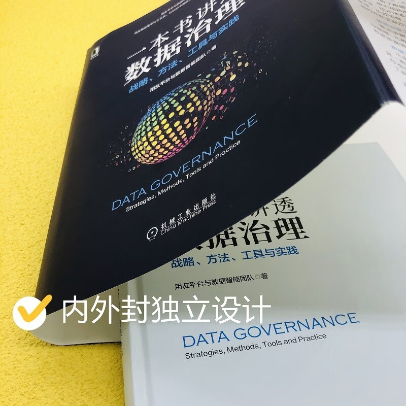 DAMA数据管理知识体系指南（原书第2版）+一本书讲透数据治理：战略、方法、工具与实践2本