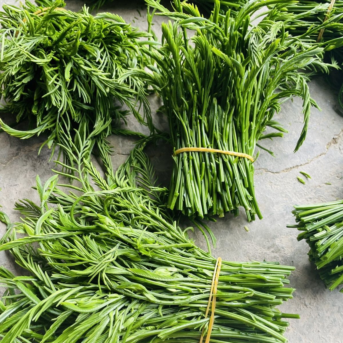 【基地直发】2023开春云南臭菜德宏傣族帕哈泰国生吃臭 300克(半斤多