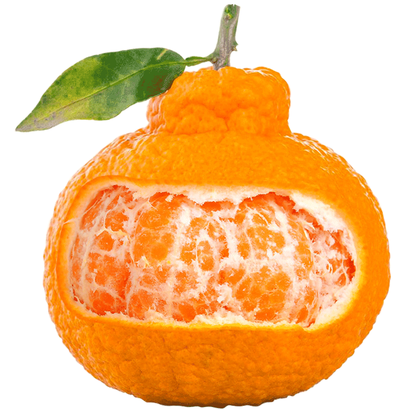 生活＆好管家四川不知火丑橘新鲜水果丑八怪丑柑应季橘子整箱柑橘应季水果 8.5-9斤中果【果径70-75mm】净重8斤