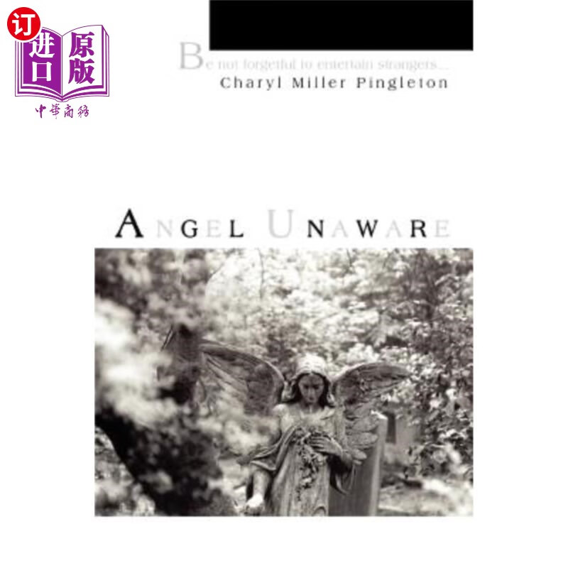 海外直订angel unaware 天使不知情