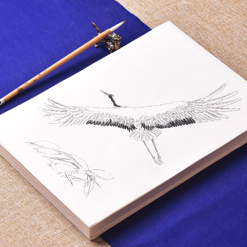 画谱云母熟宣线描初学者入门基础教程技法临摹练习创作仙鹤老鹰宣纸