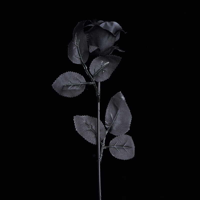 黑色仿真玫瑰花黑暗写真拍照摄影道具哥特黑玫瑰假花花束装饰 黑色