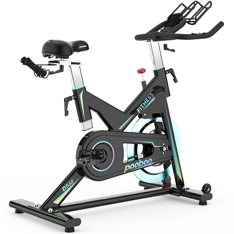 蓝堡动感单车室内静音家用磁控健身车健身器材运动健身车D568 磁控黑色