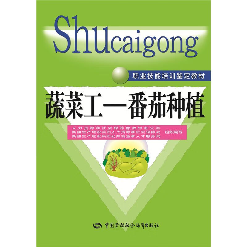 蔬菜工 番茄种植