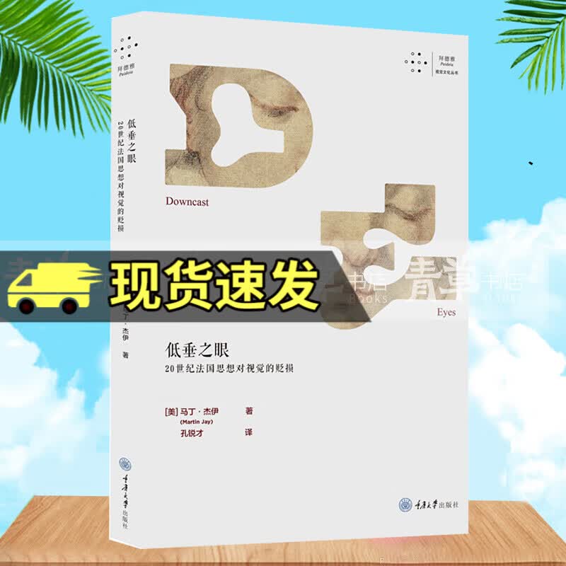 拜德雅视觉文化丛书  低垂之眼：20世纪法国思想对视觉的贬损  马丁·杰伊著 重庆大学W
