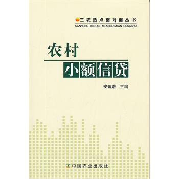 农村小额信贷 安菁蔚 【正版书籍】