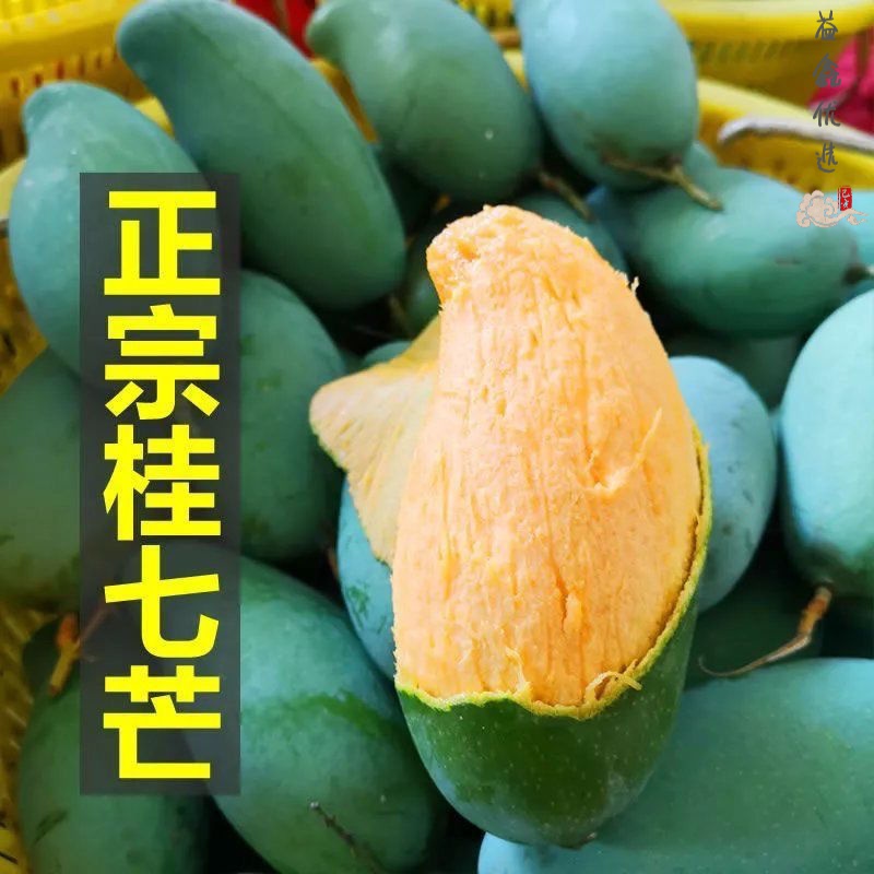 鹿凌青正宗广西百色田东桂七芒果10斤礼盒特大水果新鲜现摘水果1斤