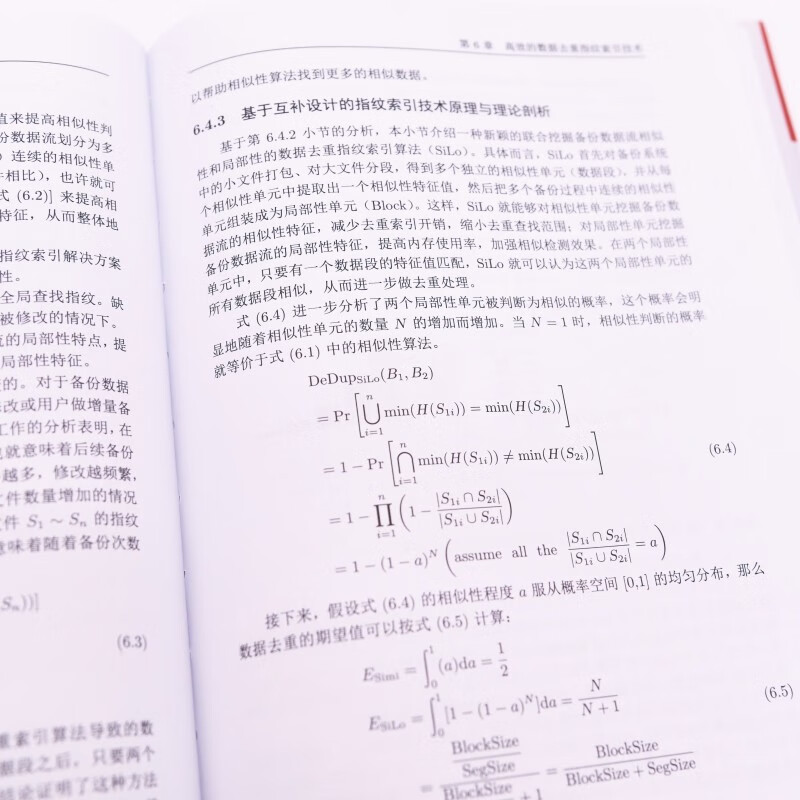大规模存储系统数据消冗详情图