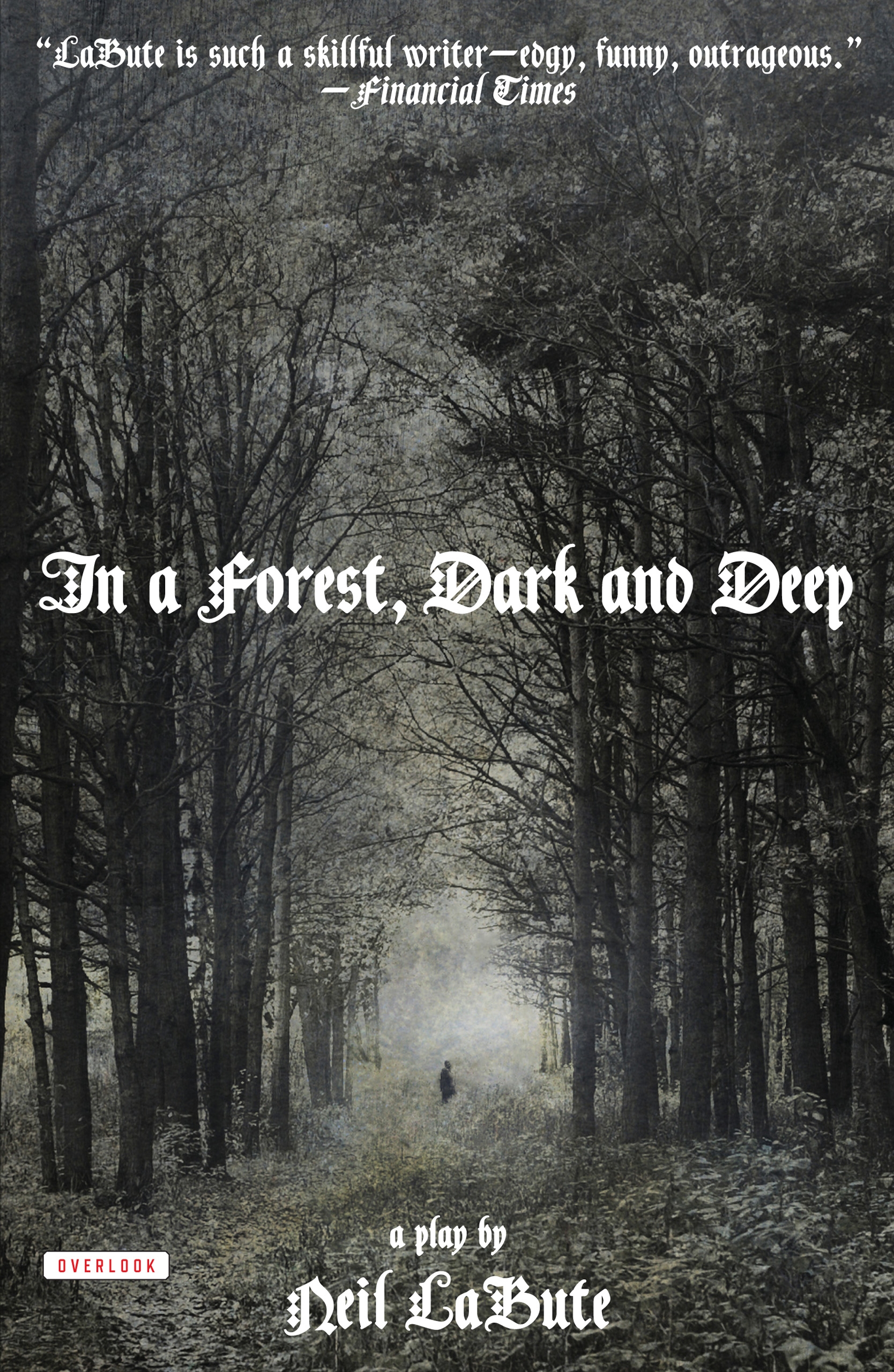 in a forest, dark and deep
