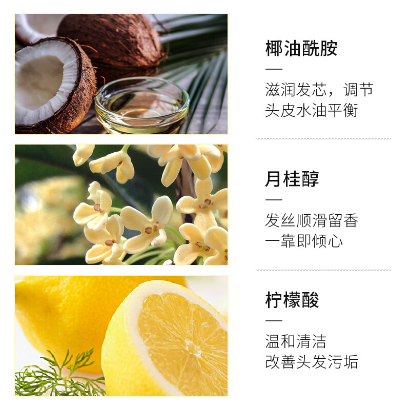 欧丽琦(OULIQI)鱼子酱洗发水男女士蓬松丰盈控油去屑止痒滋养头皮洗发露液洗头膏 鱼子酱精华洗发水 500ml 3瓶