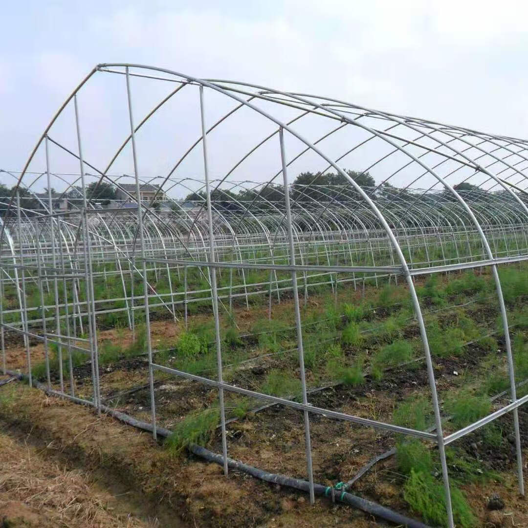 墨薰槿椭圆管养殖大棚全套骨架温室种植专业养鸡棚羊棚牛棚养猪大棚
