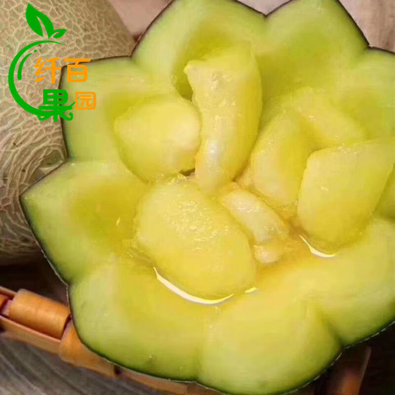 2021应季新鲜水果日本引种静冈玟瓏蜜瓜精品网纹瓜2只甜瓜可口蜜