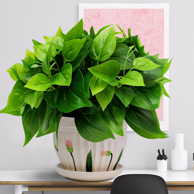 绿植套装仿真花草植物家居客厅装饰盆栽摆设办公室摆件 真绿萝套装