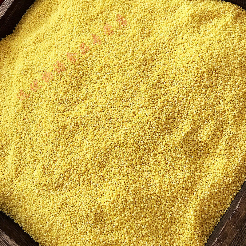 俏滋郎5斤刘谷香大金苗小米内蒙古赤峰特产天山小黄米月子宝宝米粥