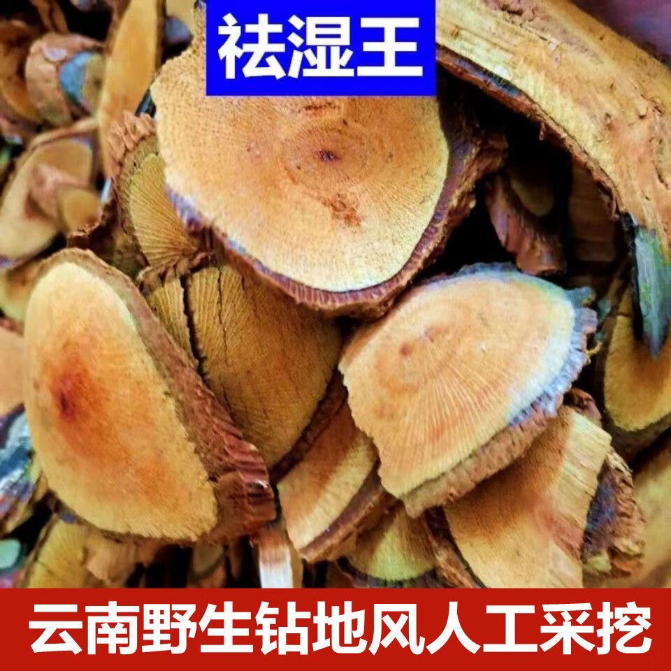 【官方精选】云南野生钻地风 追地风 去湿王 祛湿王正品铜皮铁骨 10克