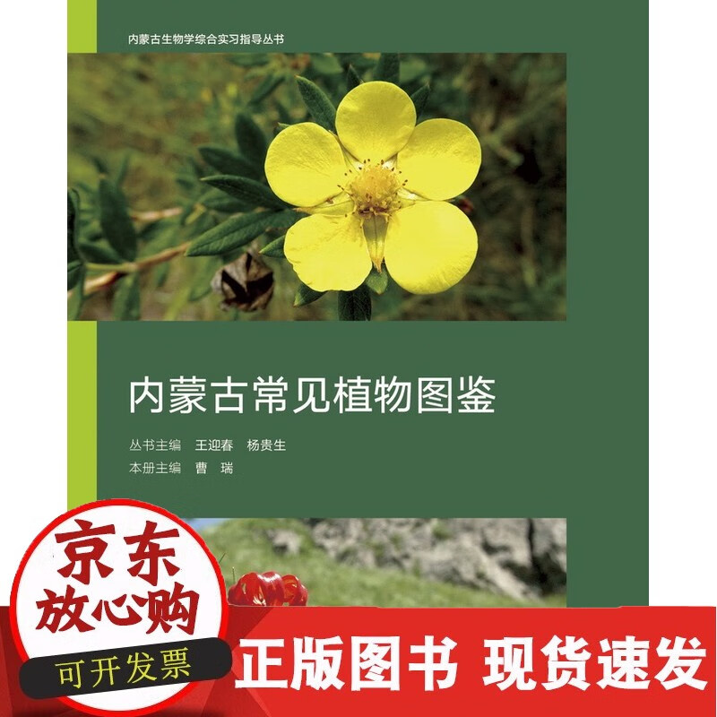 C 内蒙古常见植物图鉴
